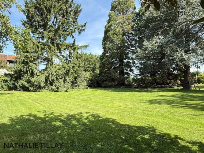 Photos 17 - Prestige - Propriete à vendre, GIDY  proche Orleans , piscine et parc