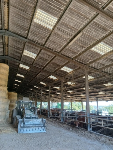 Photos 3 - Agricultural - Batiment agricoles et 43 hectares de terres agricoles