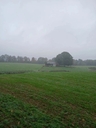 Photos 4 - Agricultural - Batiment agricoles et 43 hectares de terres agricoles