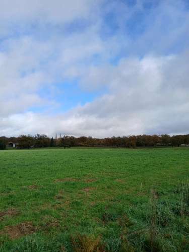 Photos 6 - Agricultural - Batiment agricoles et 43 hectares de terres agricoles