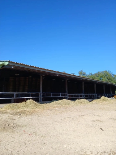 Photos 2 - Agricultural - Batiment agricoles et 43 hectares de terres agricoles