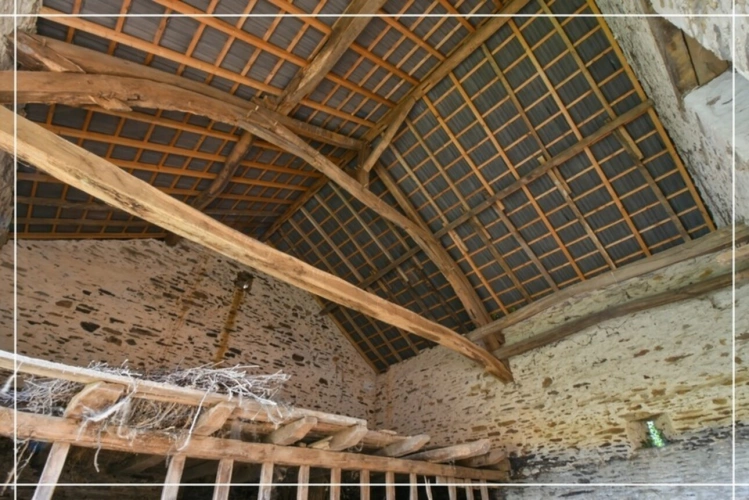 Photos 7 - Touristique - Maison à vendre 3 pièces LIGNEROLLES (36)