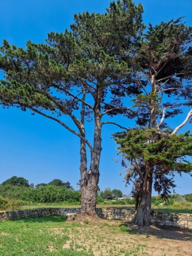 Photos 14 - Prestige - Propriete à vendre 12 pièces PLOUGRESCANT (22)