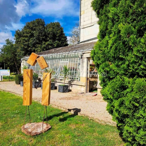 Photos 9 - Prestigious - Propriete à vendre 50 pièces proche de TOURS (37)