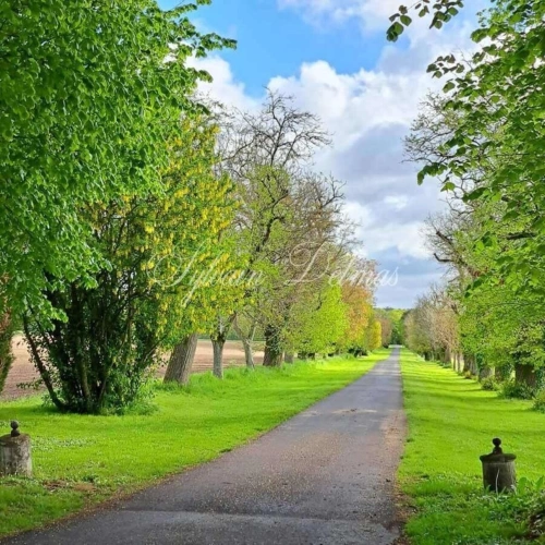 Photos 24 - Prestigious - Propriete à vendre 50 pièces proche de TOURS (37)