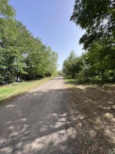 Photos 4 - Foncière - Étang de pêche de 10 hectares   Opportunité rare