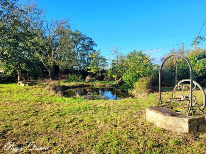 Photos 21 - Prestigious - Property for sale 14 rooms SAINT JEAN D'ANGELY (17) - Former wine estate, Building of 940 m2, Mansio