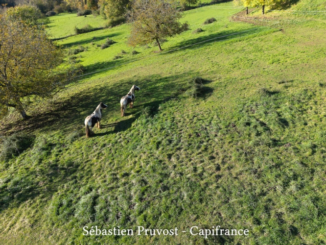 Photos 6 - Prestige - Dpt Dordogne (24), à vendre proche de THIVIERS propriete rurale P12 de 315 m² - Terrain de 50000 m²-Grange 120m2