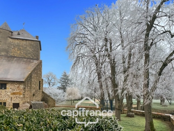 Photos 9 - Prestige - Château à vendre au coeur du bocage bourbonnais sur un parc de 1,5 Ha