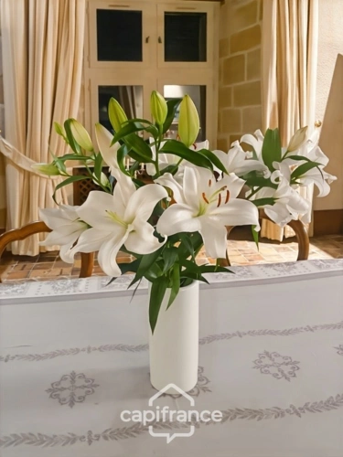 Photos 18 - Prestige - Château à vendre au coeur du bocage bourbonnais sur un parc de 1,5 Ha