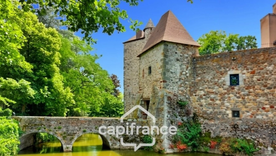 Photos 32 - Prestige - Château à vendre au coeur du bocage bourbonnais sur un parc de 1,5 Ha