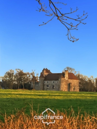 Photos 34 - Prestige - Château à vendre au coeur du bocage bourbonnais sur un parc de 1,5 Ha