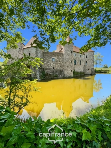 Photos 39 - Prestige - Château à vendre au coeur du bocage bourbonnais sur un parc de 1,5 Ha