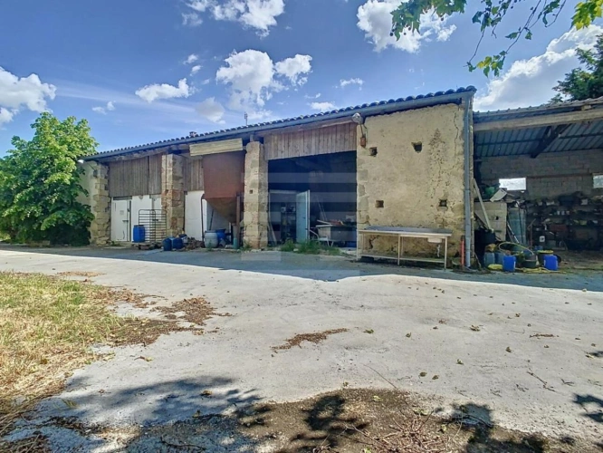 Photos 13 - Agricole - Propriété