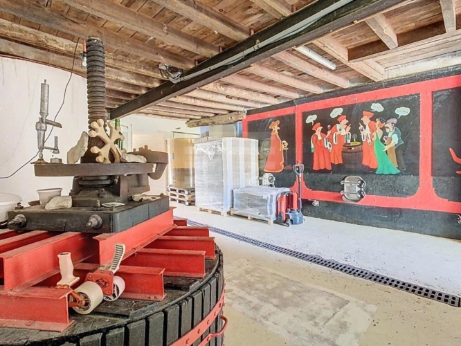 Photos 7 - Viticole - Propriété viticole