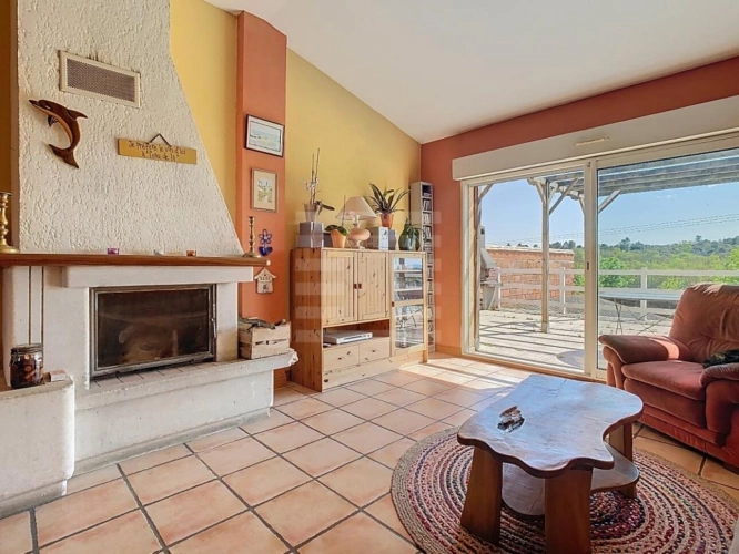 Photos 10 - Viticole - Propriété viticole