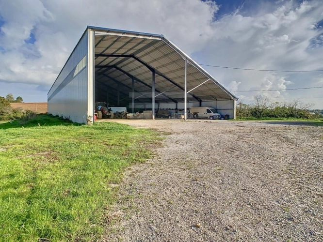 Photos 6 - Agricole - Bovine