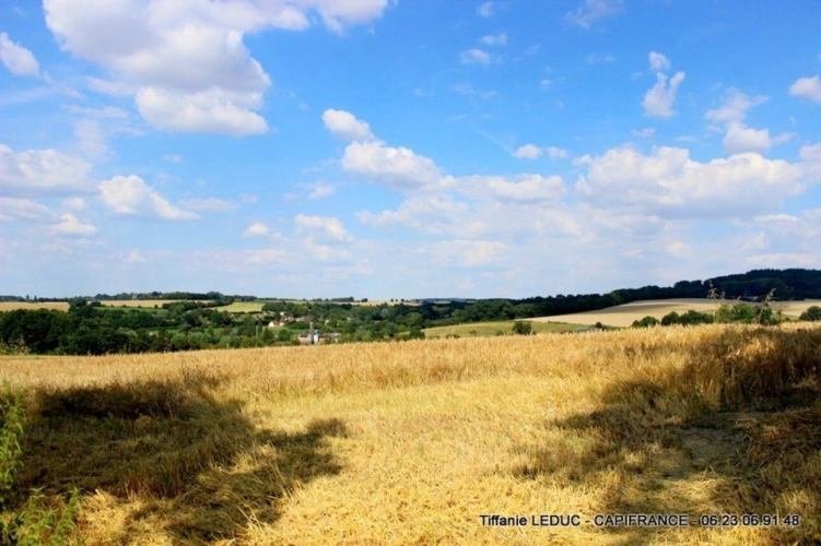 Photos 11 - Prestige - Villedieu les poêles : Longère de 145 m2 avec dépendance sur 12500 m2 de terrain