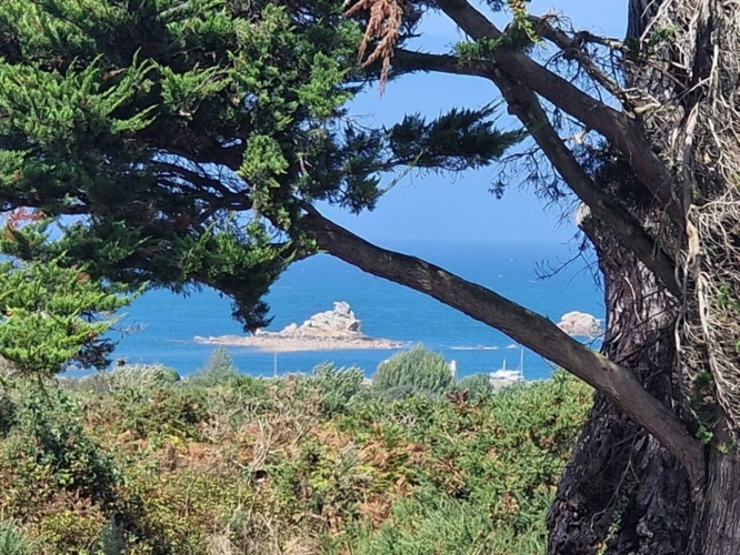 Photos 10 - Prestige - Propriete à vendre 12 pièces PLOUGRESCANT (22)