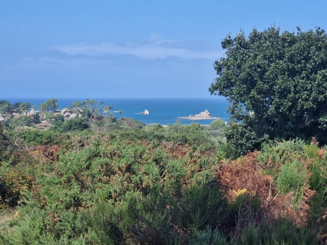 Photos 13 - Prestige - Propriete à vendre 12 pièces PLOUGRESCANT (22)