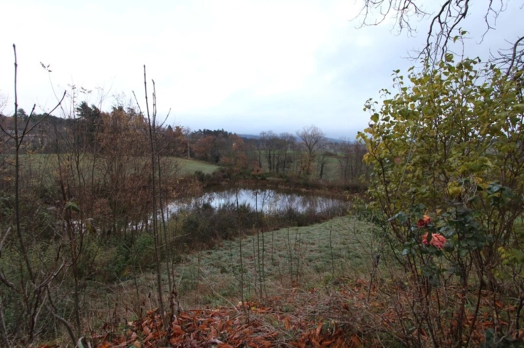 Photos 10 - Agricole - À vendre – Ensemble immobilier en pierre au cœur de la nature – Vernoux-en-Vivarais