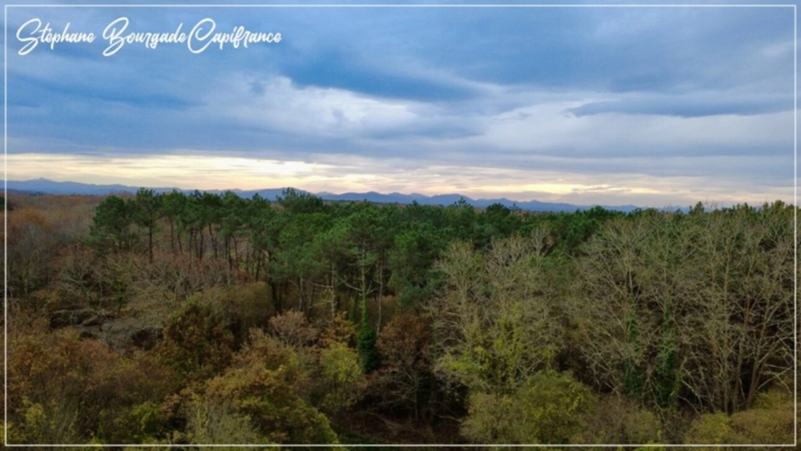 Photos 1 - Touristique - Propriete à vendre 0 pièces SAINT MARTIN DE HINX (40)