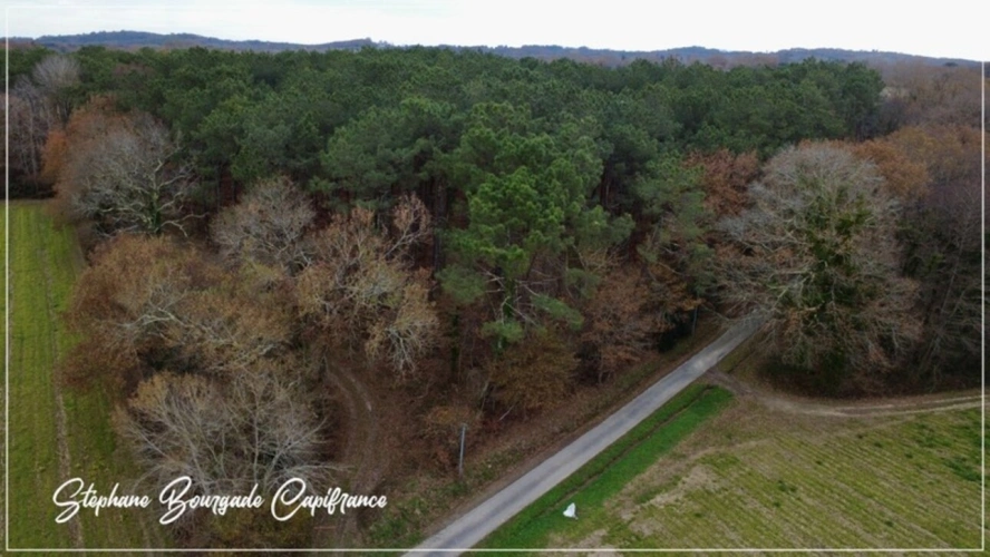 Photos 2 - Touristique - Propriete à vendre 0 pièces SAINT MARTIN DE HINX (40)