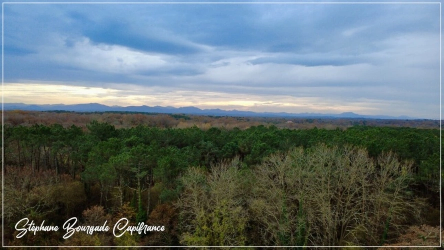 Photos 3 - Touristique - Propriete à vendre 0 pièces SAINT MARTIN DE HINX (40)