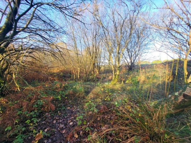 Photos 2 - Forestière - Terrain à vendre  TELGRUC SUR MER (29)