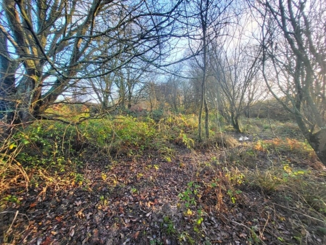 Photos 5 - Forestière - Terrain à vendre  TELGRUC SUR MER (29)