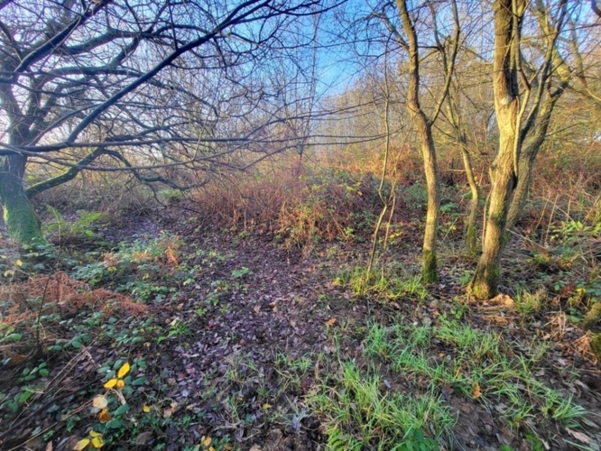 Photos 8 - Forestière - Terrain à vendre  TELGRUC SUR MER (29)