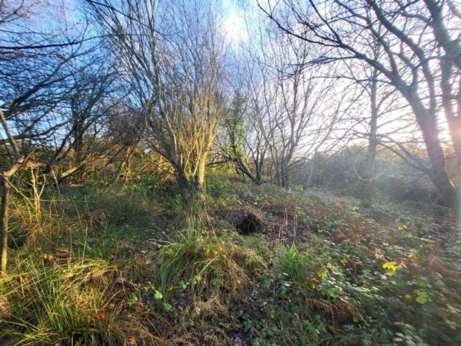 Photos 10 - Forestière - Terrain à vendre  TELGRUC SUR MER (29)