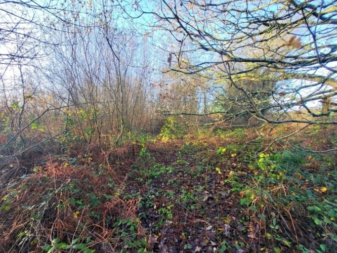 Photos 11 - Forestière - Terrain à vendre  TELGRUC SUR MER (29)