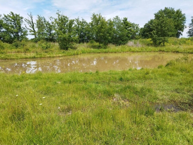 Photos 6 - Equestrian - Property