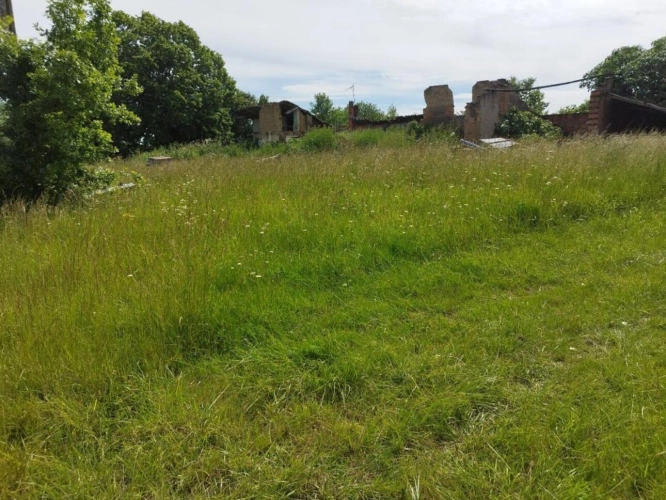 Photos 7 - Equestrian - Property