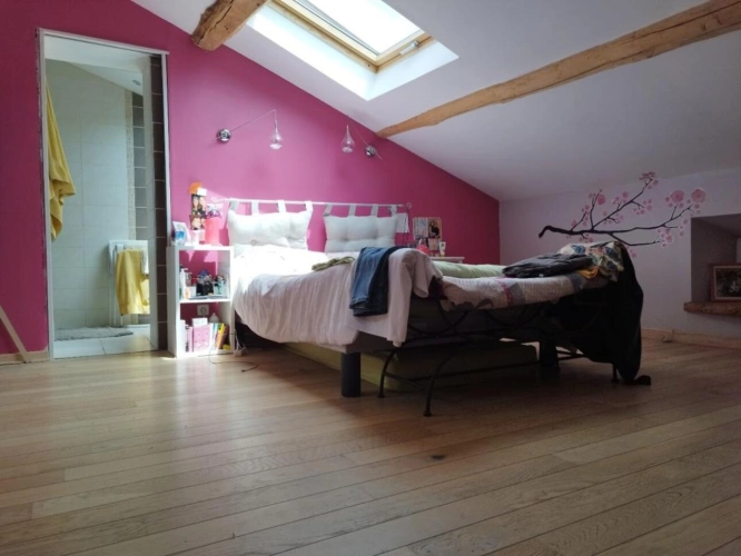 Photos 13 - Equestrian - Property