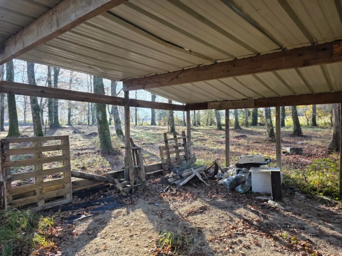 Photos 7 - Forest - Bois de chasse à la palombe 32 GERS