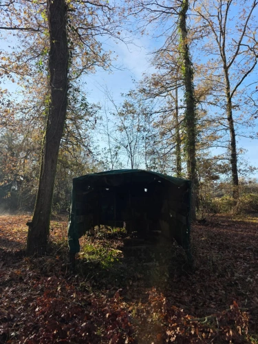 Photos 8 - Forest - Bois de chasse à la palombe 32 GERS