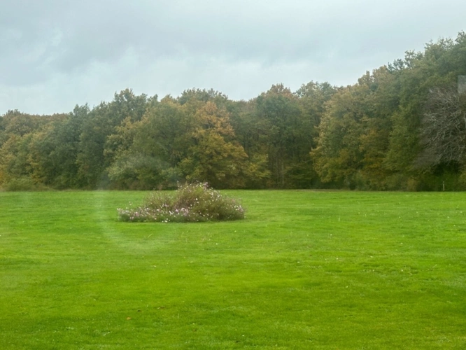 Photos 1 - Prestige - Propriété de charme à vendre proche de CHEVERNY (41)