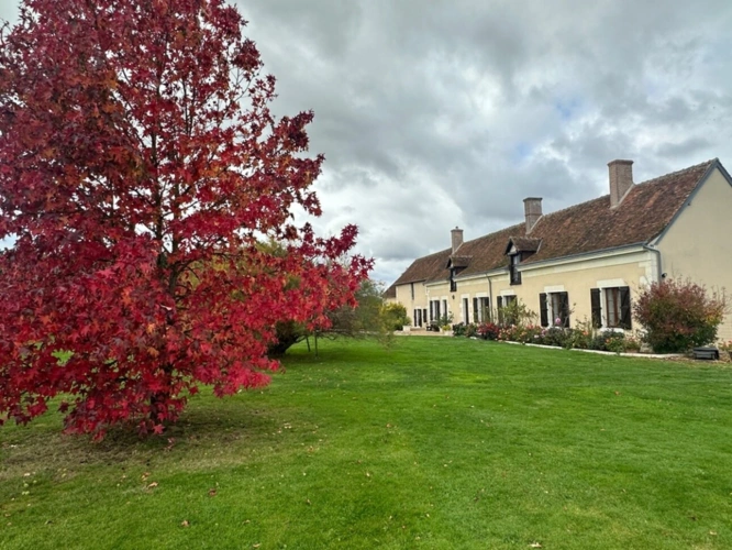 Photos 4 - Prestige - Propriété de charme à vendre proche de CHEVERNY (41)