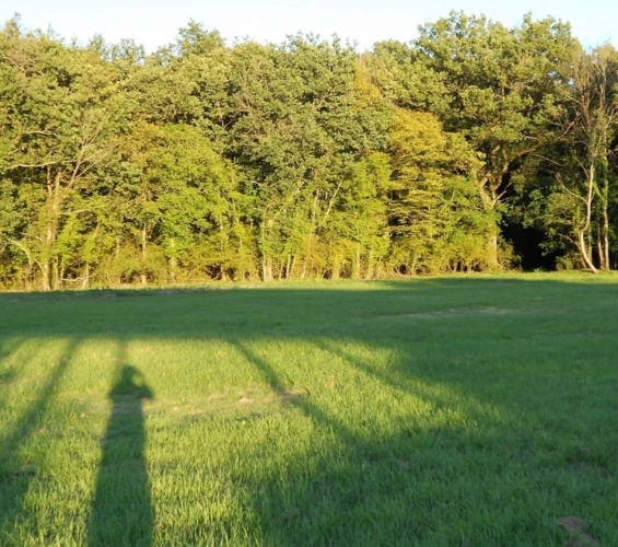 Photos 5 - Prestige - Propriété de charme à vendre proche de CHEVERNY (41)