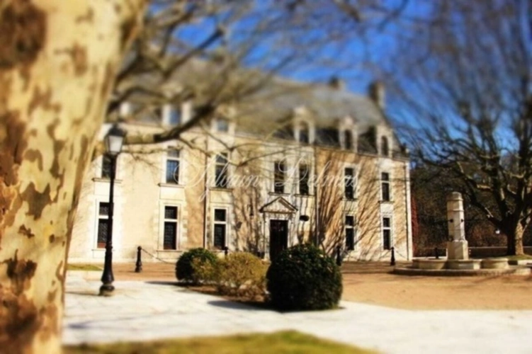 Photos 1 - Prestigious - Propriete à vendre 50 pièces proche de AMBOISE (37)