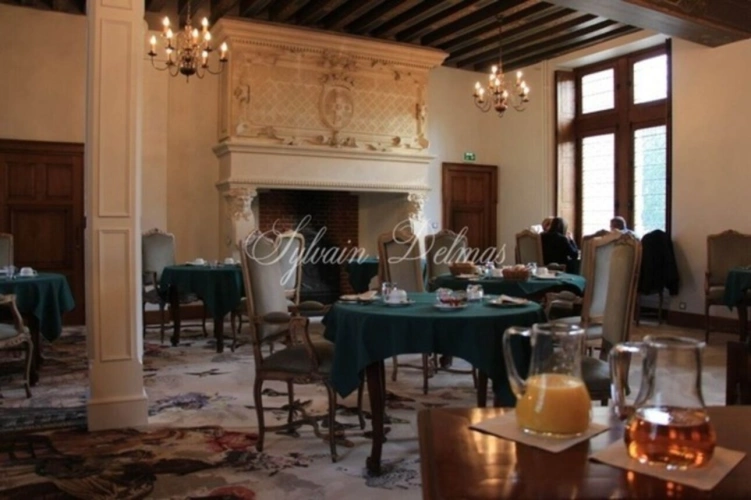 Photos 8 - Prestigious - Propriete à vendre 50 pièces proche de AMBOISE (37)