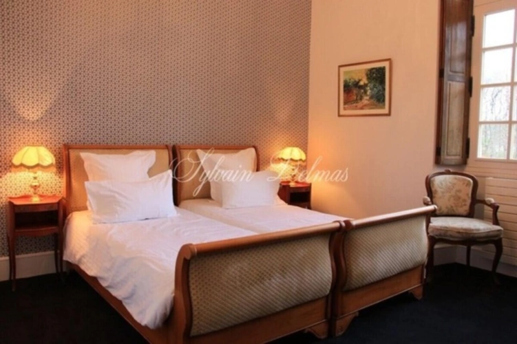 Photos 15 - Prestigious - Propriete à vendre 50 pièces proche de AMBOISE (37)