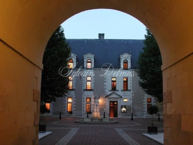 Photos 16 - Prestigious - Propriete à vendre 50 pièces proche de AMBOISE (37)