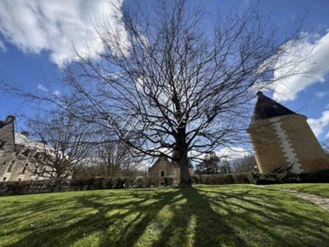 Photos 22 - Prestigious - Propriete à vendre 50 pièces proche de AMBOISE (37)