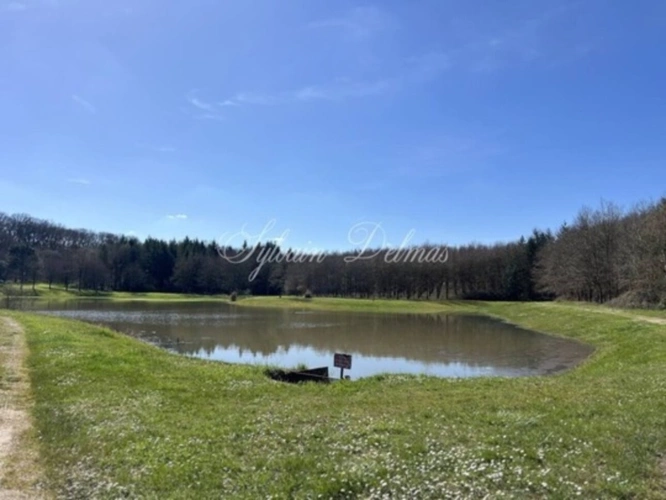 Photos 23 - Prestigious - Propriete à vendre 50 pièces proche de AMBOISE (37)