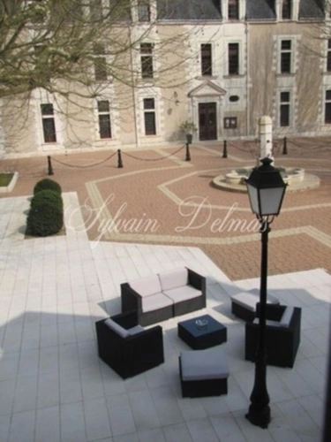 Photos 24 - Prestigious - Propriete à vendre 50 pièces proche de AMBOISE (37)