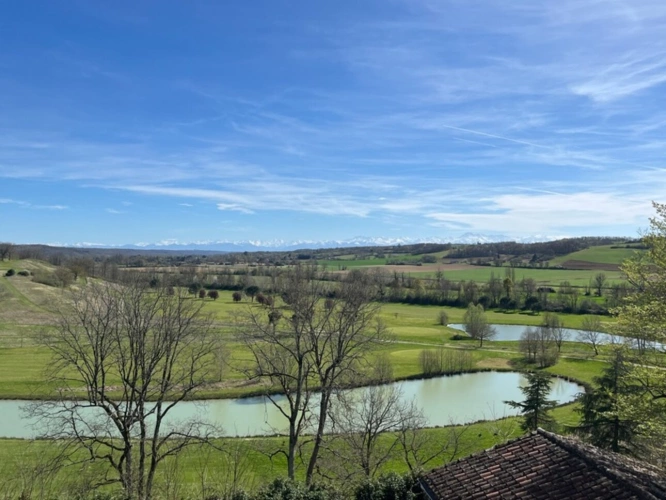 Photos 11 - Prestigious - Elegant 19th century CHATEAU on 70 ha, PANORAMIC VIEW OF THE PYRENEES, at the end of a driveway, Tou