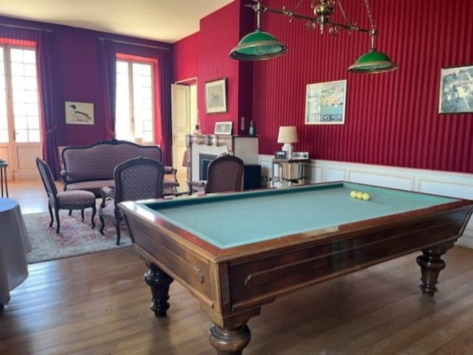 Photos 15 - Prestigious - Elegant 19th century CHATEAU on 70 ha, PANORAMIC VIEW OF THE PYRENEES, at the end of a driveway, Tou